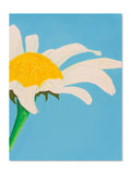 Soft Bloom